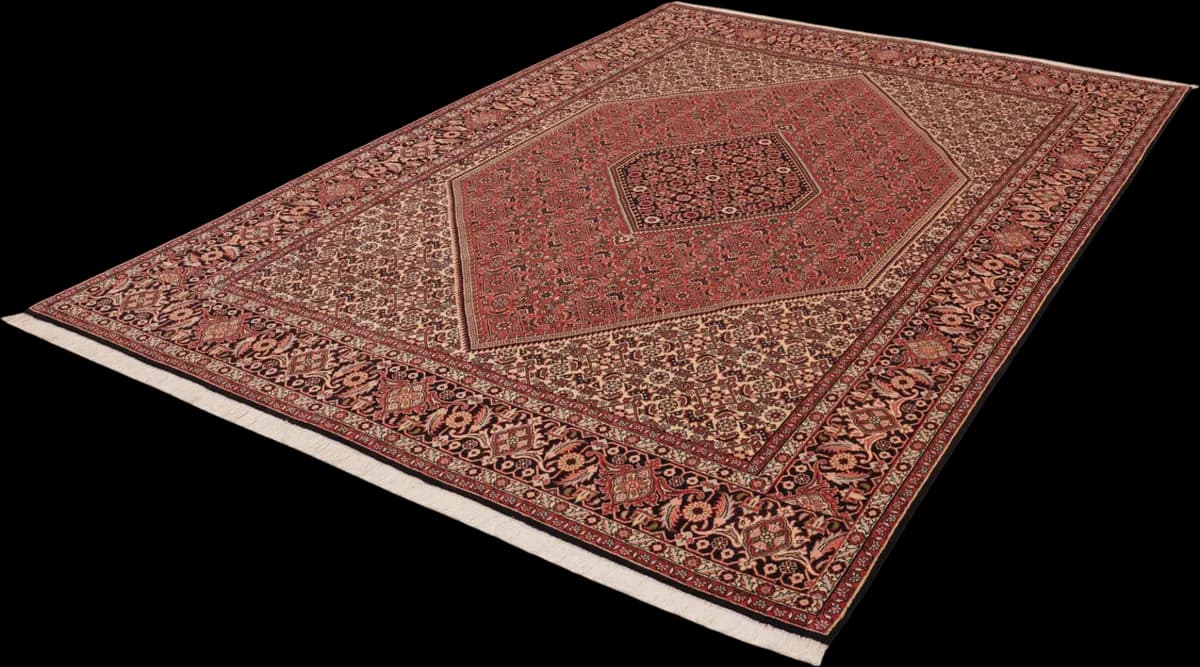 Bidjar — Bidjar, 294 × 197 cm — detail | RUGSOCIETE