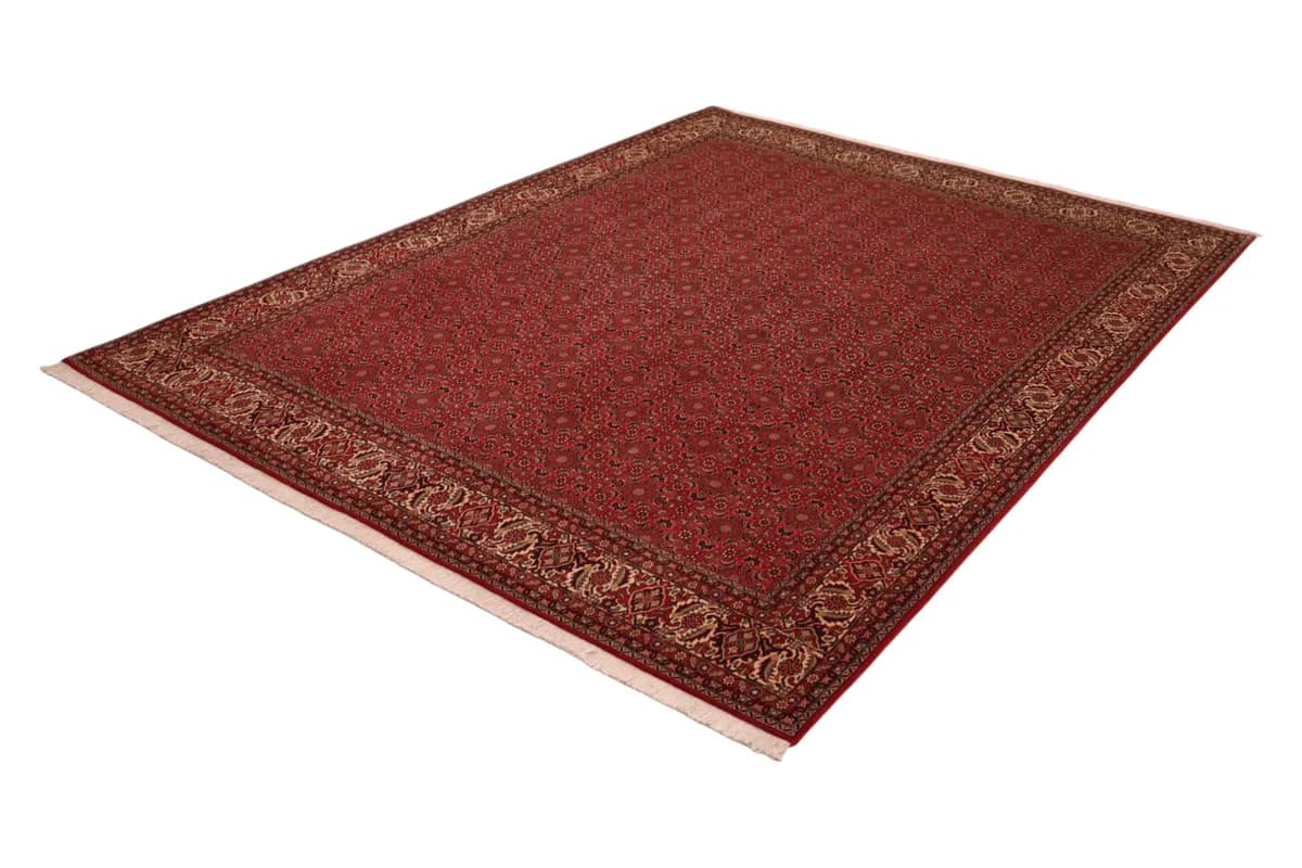 Bidjar — Bidjar, 340 × 250 cm — detail | RUGSOCIETE