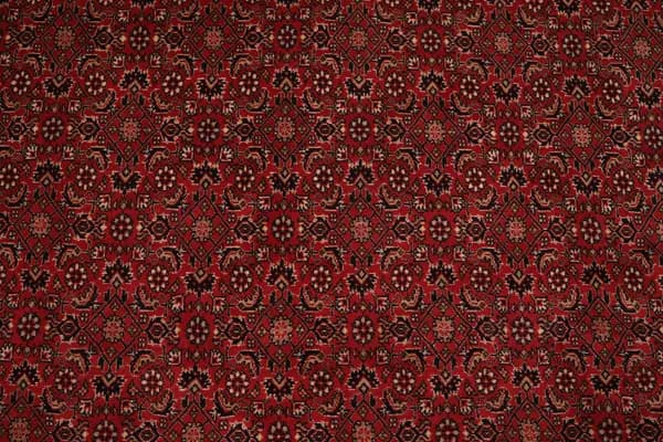 Bidjar — Bidjar — view 8 | RUGSOCIETE