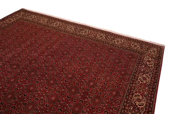 Bidjar — Bidjar — view 5 | RUGSOCIETE