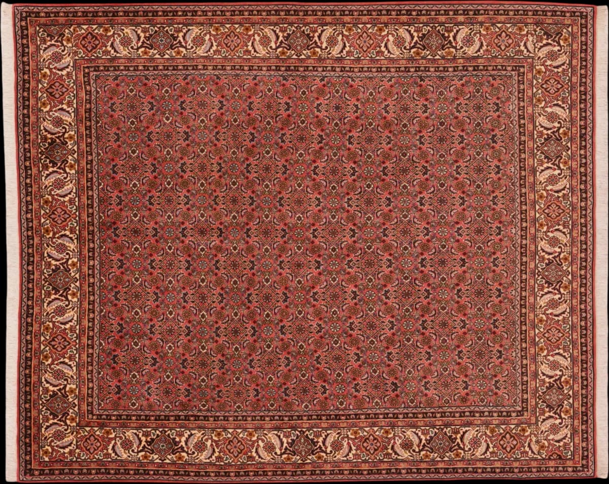 Bidjar — Bidjar, 243 × 203 cm | RUGSOCIETE