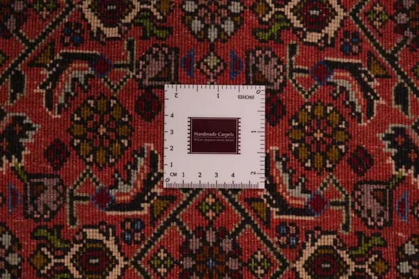 Bidjar — Bidjar — view 14 | RUGSOCIETE