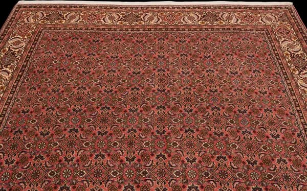 Bidjar — Bidjar — view 6 | RUGSOCIETE