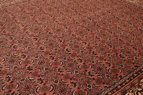 Bidjar — Bidjar — view 7 | RUGSOCIETE