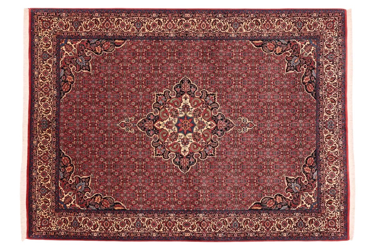 Bidjar — Bidjar exkl.W.S., 239 × 175 cm | RUGSOCIETE