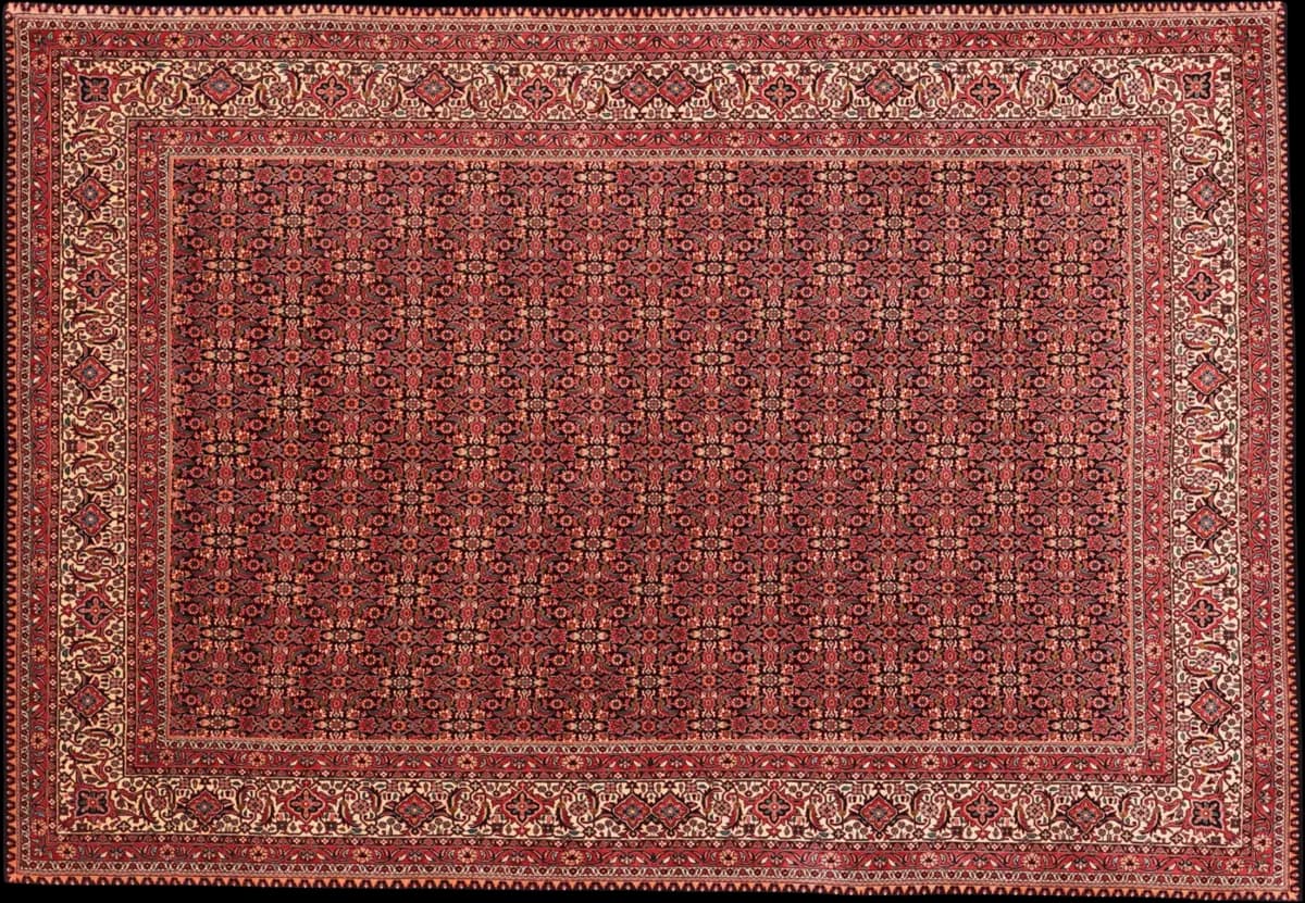 Bidjar — Bidjar exkl.W.S., 295 × 203 cm | RUGSOCIETE