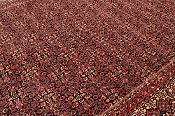 Bidjar — Bidjar exkl.W.S. — view 7 | RUGSOCIETE