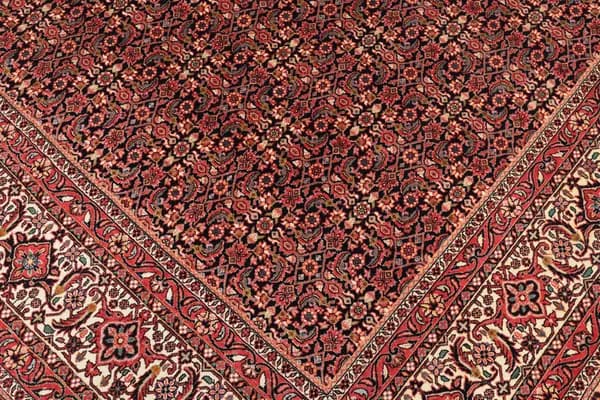 Bidjar — Bidjar exkl.W.S. — view 8 | RUGSOCIETE