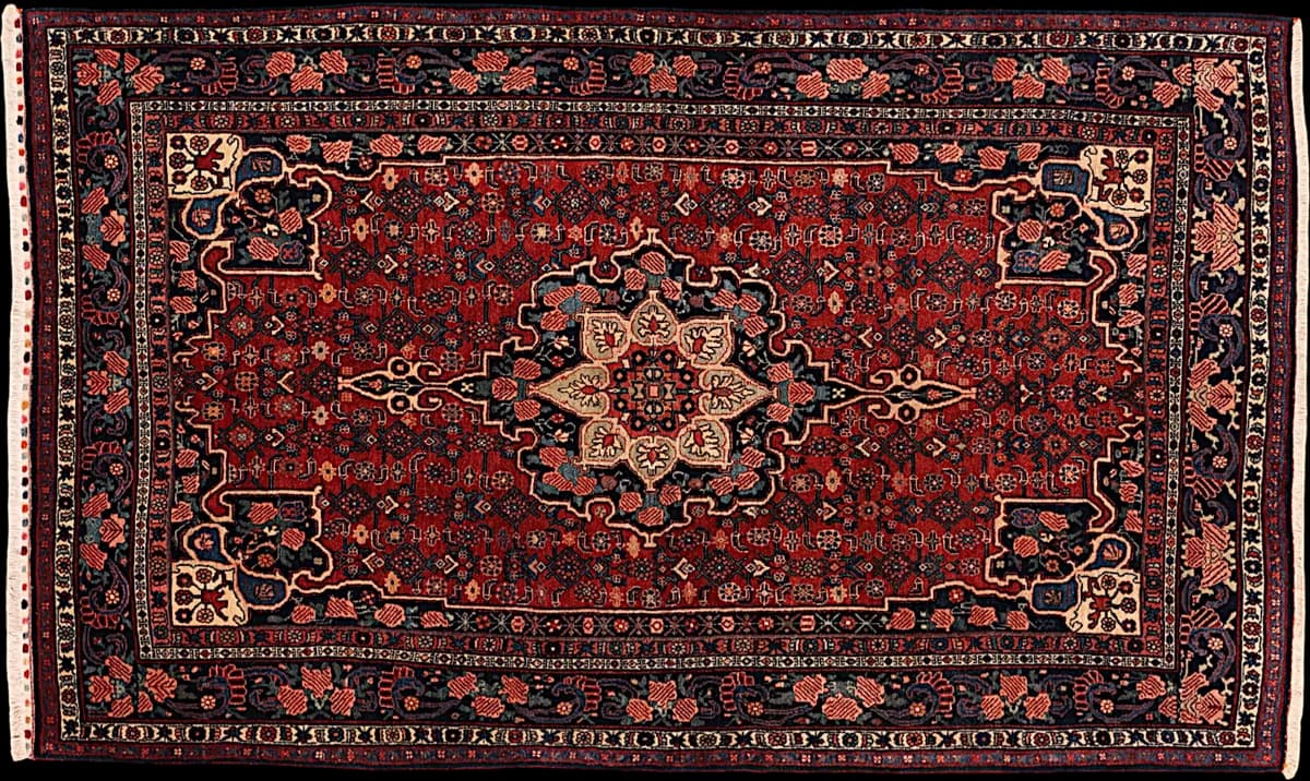 Bidjar — Garrous, 276 × 168 cm | RUGSOCIETE