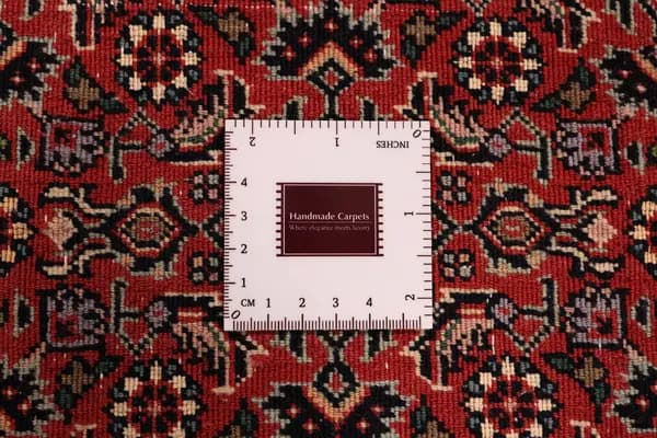 Bidjar — Bidjar exkl.W.S. — view 13 | RUGSOCIETE
