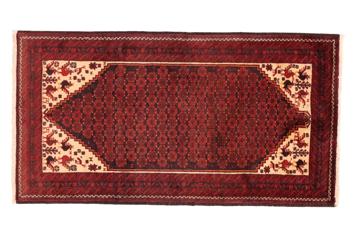 Belutsch — Belutsch, 159 × 83 cm | RUGSOCIETE