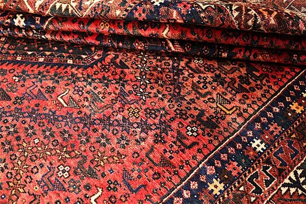 Shiraz — Shiraz — view 9 | RUGSOCIETE