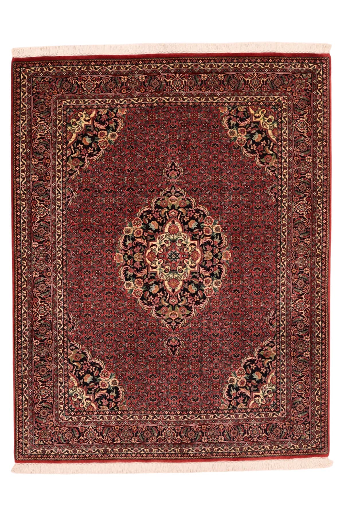 Bidjar — Bidjar exkl.W.S., 199 × 156 cm | RUGSOCIETE