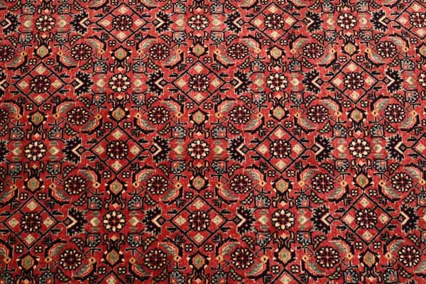 Bidjar — Bidjar exkl.W.S. — view 8 | RUGSOCIETE