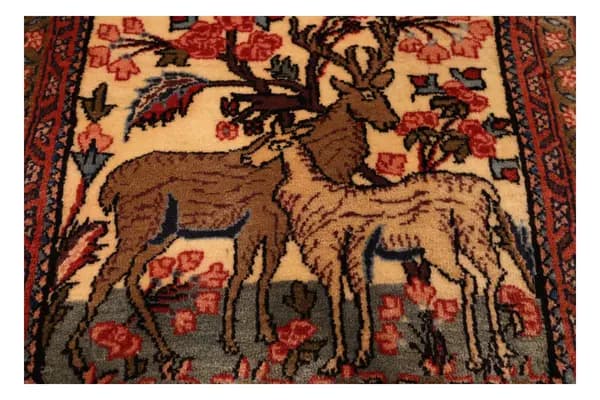 Bidjar Teppich 10385 — Bidjar — view 6 | RUGSOCIETE