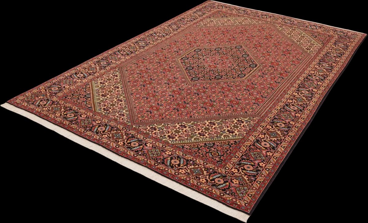 Bidjar — Bidjar, 297 × 197 cm — detail | RUGSOCIETE