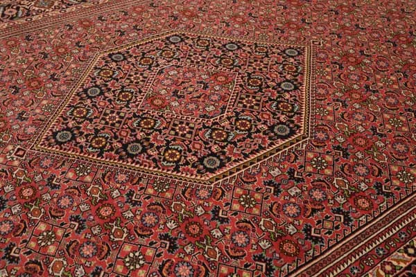 Bidjar — Bidjar — view 7 | RUGSOCIETE