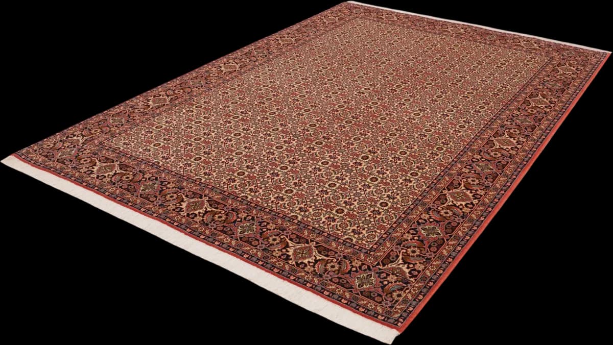 Bidjar — Bidjar, 309 × 206 cm — detail | RUGSOCIETE