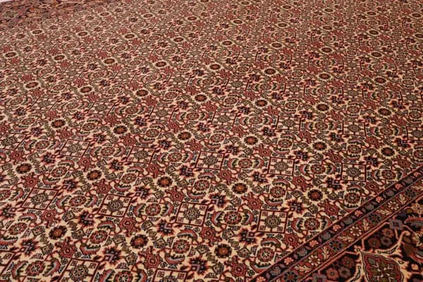 Bidjar — Bidjar — view 7 | RUGSOCIETE