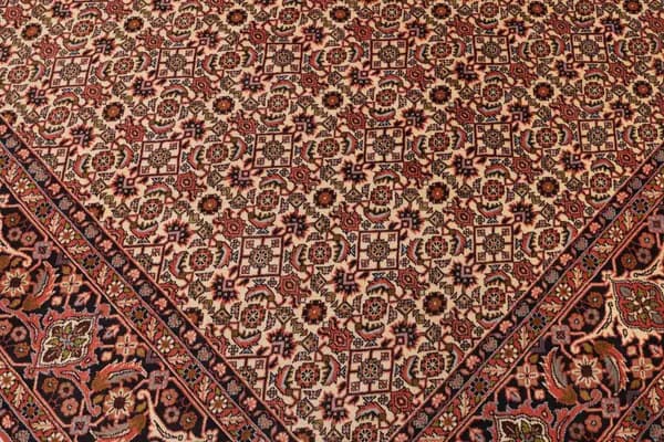 Bidjar — Bidjar — view 8 | RUGSOCIETE