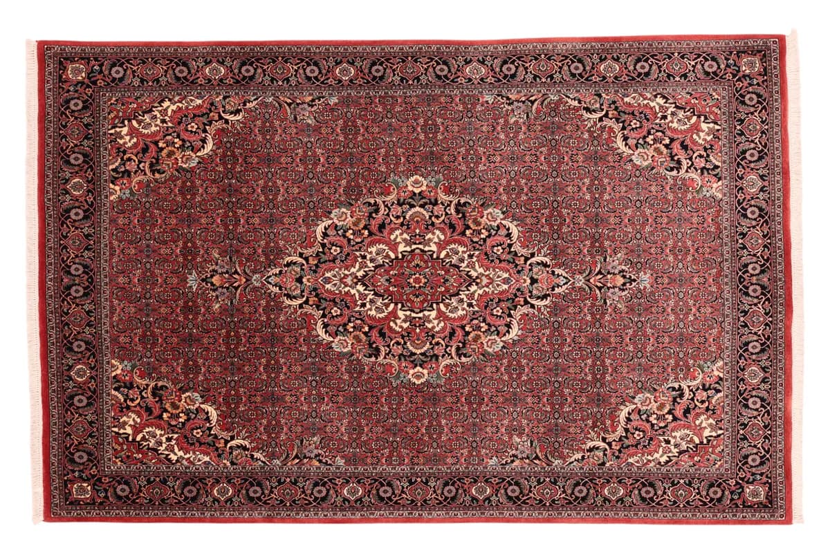 Bidjar — Bidjar exkl.W.S., 257 × 165 cm | RUGSOCIETE