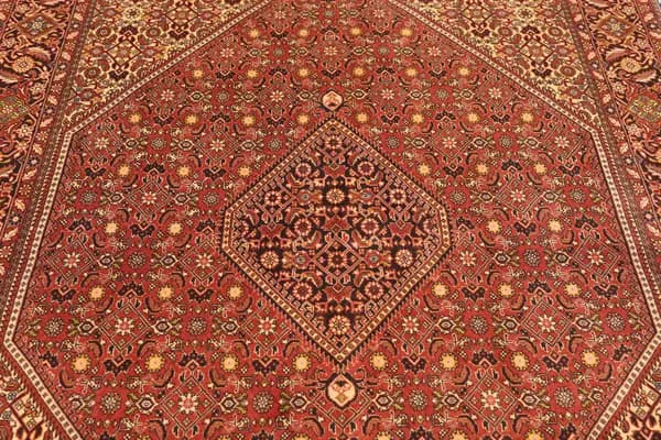 Bidjar — Bidjar — view 14 | RUGSOCIETE