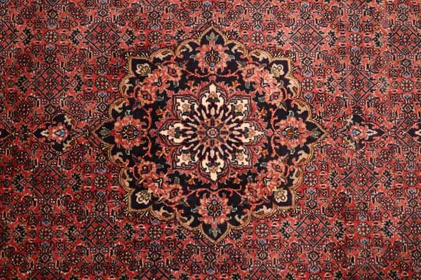 Bidjar — Bidjar exkl.W.S. — view 8 | RUGSOCIETE