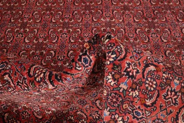 Bidjar — Bidjar W.S. — view 9 | RUGSOCIETE
