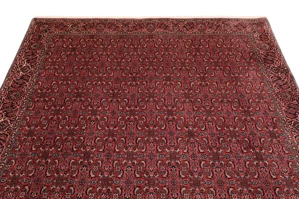 Bidjar — Bidjar W.S. — view 8 | RUGSOCIETE