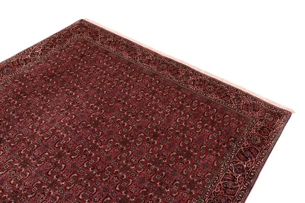 Bidjar — Bidjar W.S. — view 7 | RUGSOCIETE