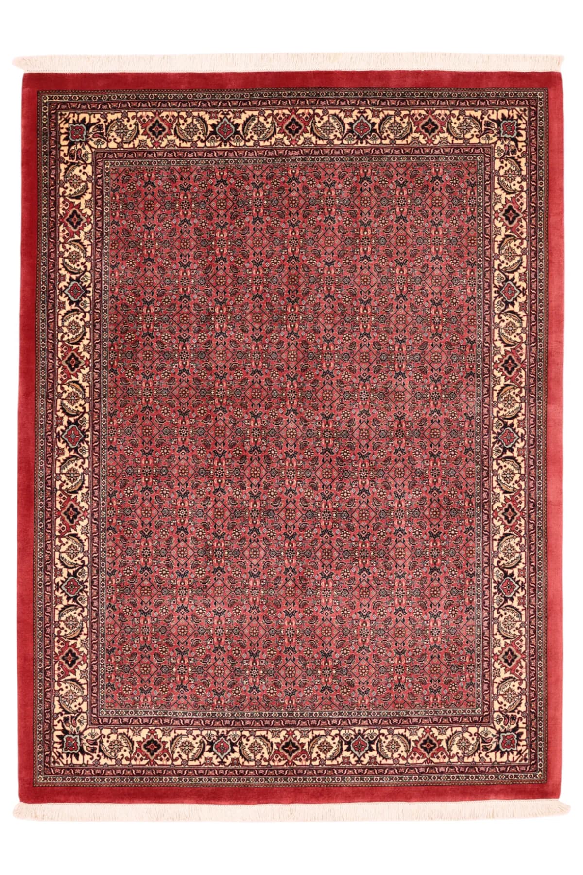 Bidjar — Bidjar exkl.W.S., 204 × 152 cm | RUGSOCIETE