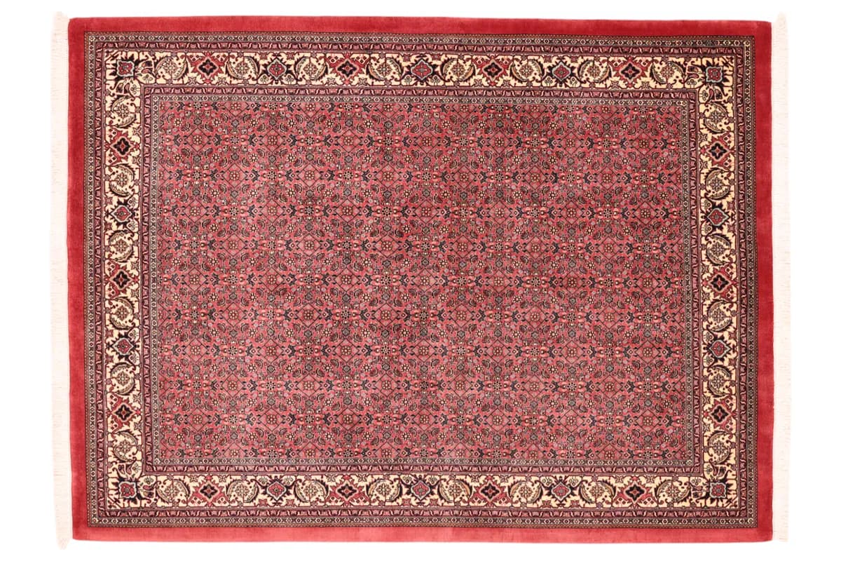 Bidjar — Bidjar exkl.W.S., 204 × 152 cm | RUGSOCIETE