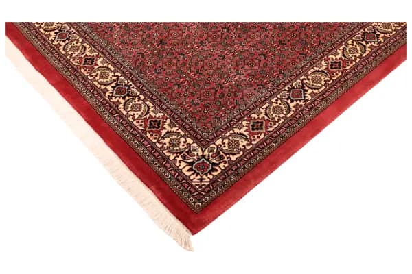 Bidjar — Bidjar exkl.W.S. — view 7 | RUGSOCIETE