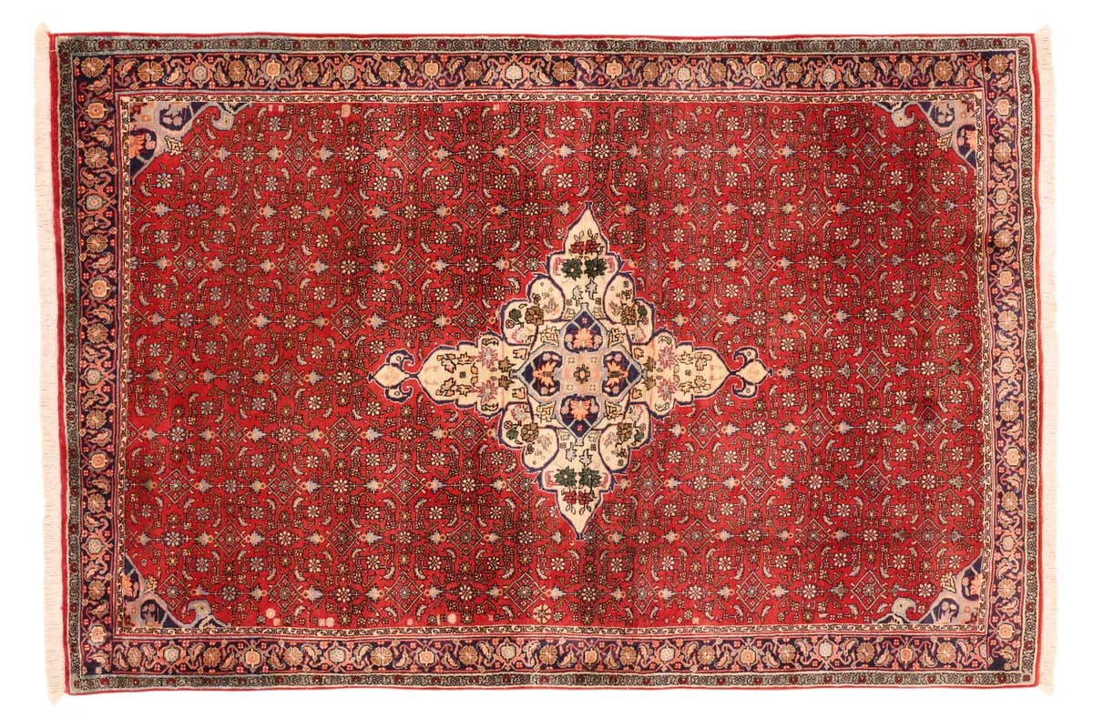 Bidjar — Bidjar, 217 × 144 cm | RUGSOCIETE