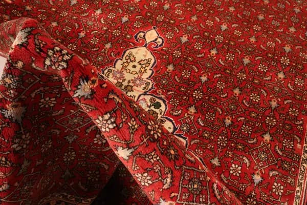 Bidjar — Bidjar — view 7 | RUGSOCIETE