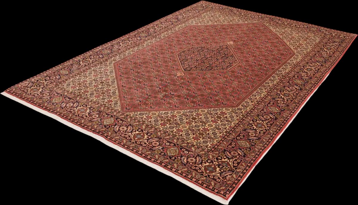 Bidjar — Bidjar, 299 × 199 cm — detail | RUGSOCIETE