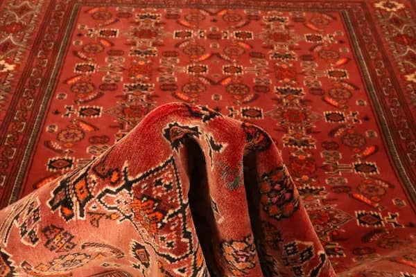 Turkaman — Turkaman — view 11 | RUGSOCIETE