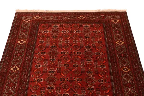 Turkaman — Turkaman — view 6 | RUGSOCIETE