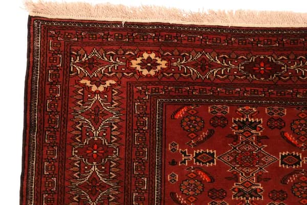 Turkaman — Turkaman — view 10 | RUGSOCIETE