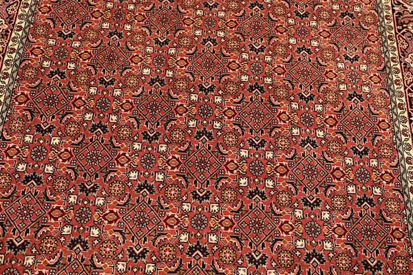 Bidjar — Bidjar — view 14 | RUGSOCIETE