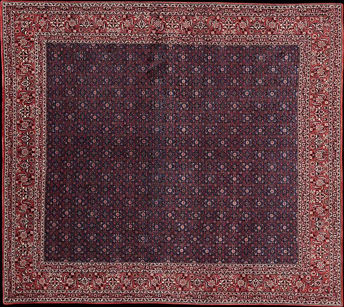 Bidjar — Bidjar exkl.W.S., 286 × 255 cm | RUGSOCIETE