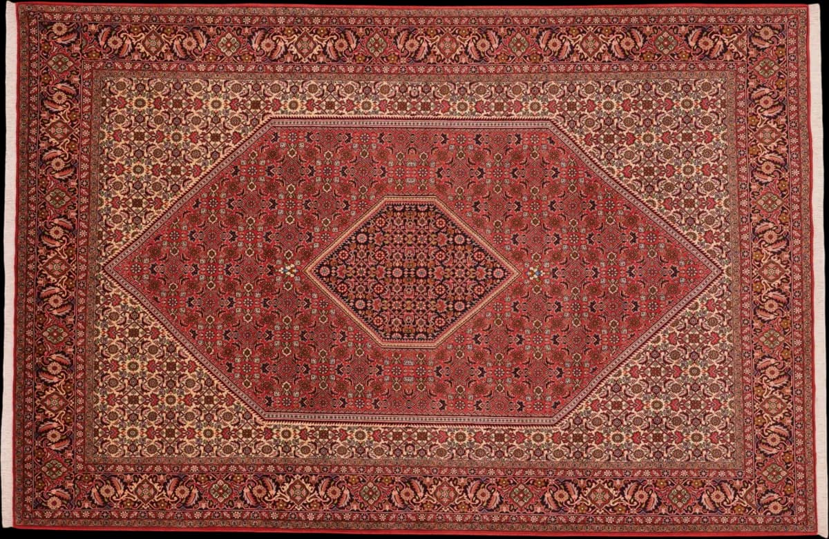 Bidjar — Bidjar, 308 × 204 cm | RUGSOCIETE