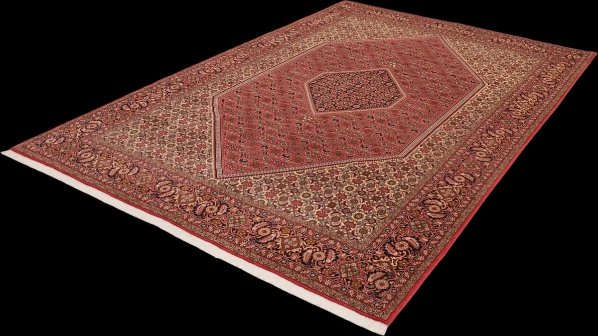 Bidjar — Bidjar, 308 × 204 cm — detail | RUGSOCIETE
