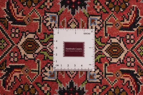 Bidjar — Bidjar — view 14 | RUGSOCIETE