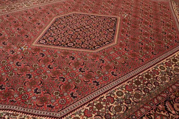 Bidjar — Bidjar — view 7 | RUGSOCIETE