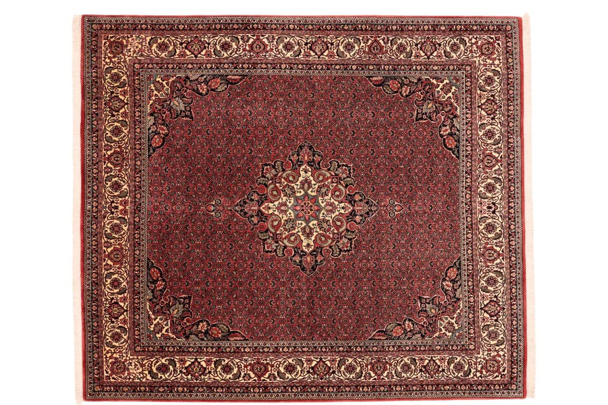 Bidjar — Bidjar exkl.W.S., 239 × 209 cm | RUGSOCIETE