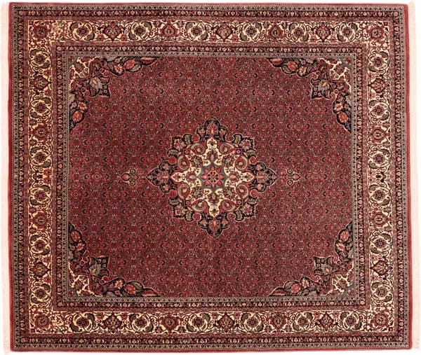 Hand-knotted Bidjar, 239 × 209 cm