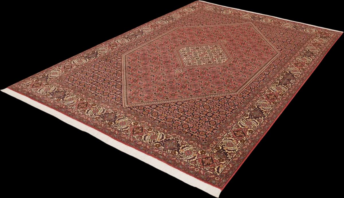 Bidjar — Bidjar, 294 × 196 cm — detail | RUGSOCIETE