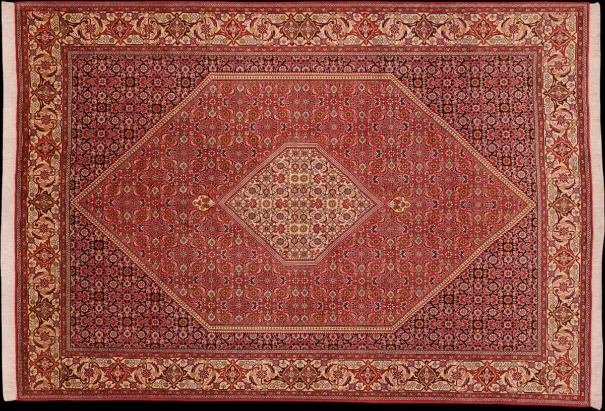 Bidjar — Bidjar, 285 × 198 cm | RUGSOCIETE
