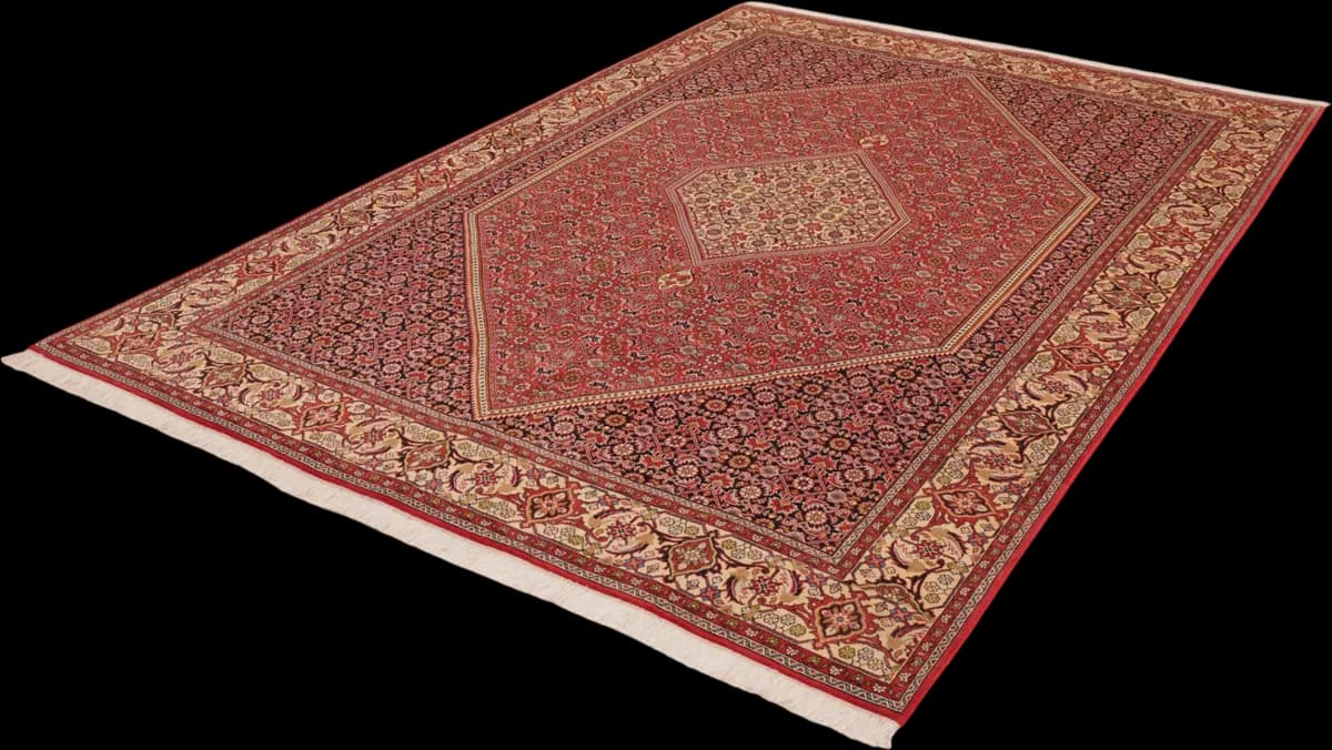 Bidjar — Bidjar, 285 × 198 cm — detail | RUGSOCIETE